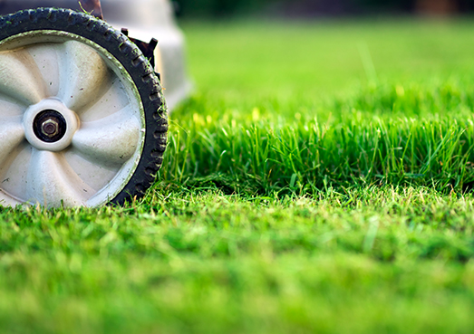 lawn mower cutting grass